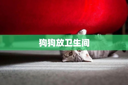 狗狗放衛生間
