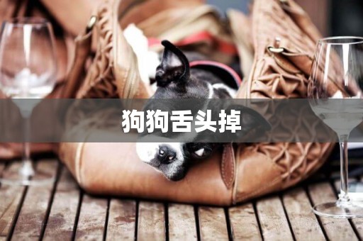 狗狗舌頭掉