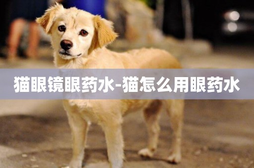 貓眼鏡眼藥水-貓怎么用眼藥水