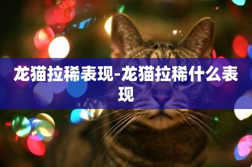龍貓拉稀表現-龍貓拉稀什么表現