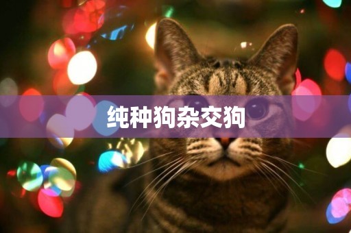 純種狗雜交狗