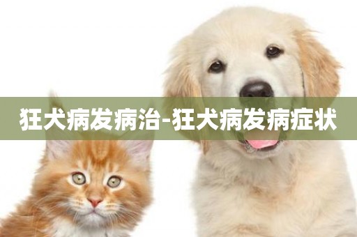 狂犬病發病治-狂犬病發病癥狀