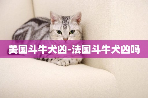 美國斗牛犬兇-法國斗牛犬兇嗎