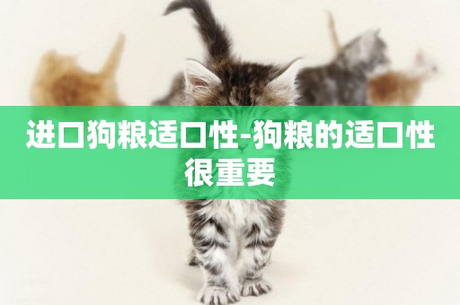 進口狗糧適口性-狗糧的適口性很重要