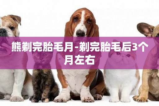 熊剃完胎毛月-剃完胎毛后3個月左右