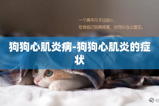 狗狗心肌炎病-狗狗心肌炎的癥狀
