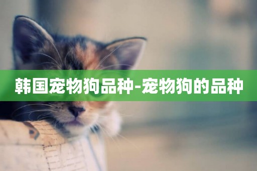 韓國寵物狗品種-寵物狗的品種