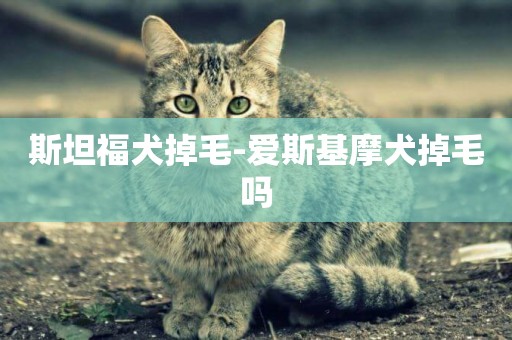 斯坦福犬掉毛-愛斯基摩犬掉毛嗎