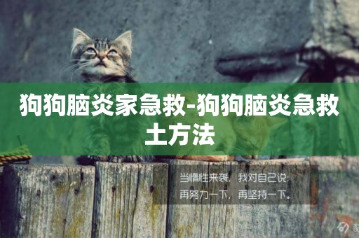 狗狗腦炎家急救-狗狗腦炎急救土方法