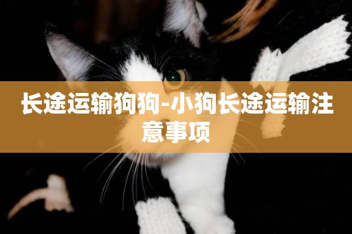 長途運輸狗狗-小狗長途運輸注意事項