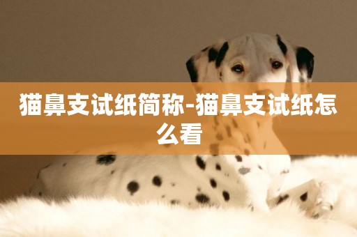 貓鼻支試紙簡稱-貓鼻支試紙怎么看