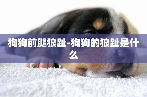 狗狗前腿狼趾-狗狗的狼趾是什么