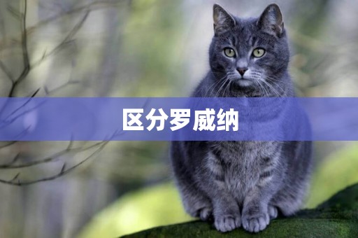 區分羅威納