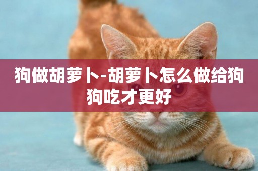 狗做胡蘿卜-胡蘿卜怎么做給狗狗吃才更好