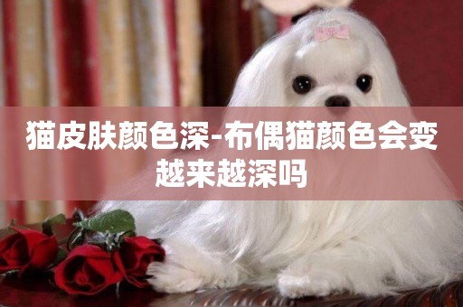 貓皮膚顏色深-布偶貓顏色會變越來越深嗎