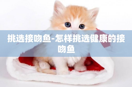 挑選接吻魚-怎樣挑選健康的接吻魚