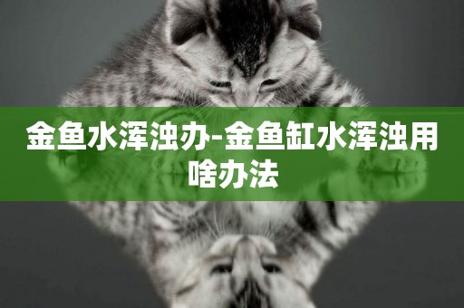 金魚水渾濁辦-金魚缸水渾濁用啥辦法