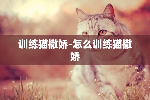 訓練貓撒嬌-怎么訓練貓撒嬌