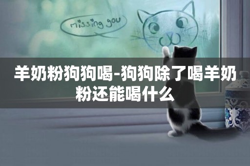 羊奶粉狗狗喝-狗狗除了喝羊奶粉還能喝什么