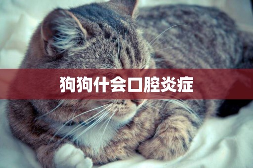 狗狗什會口腔炎癥