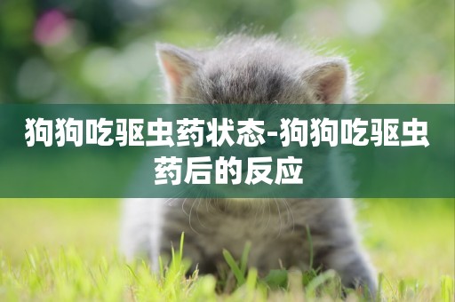 狗狗吃驅蟲藥狀態-狗狗吃驅蟲藥后的反應