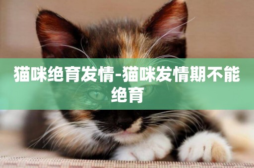 貓咪絕育發情-貓咪發情期不能絕育