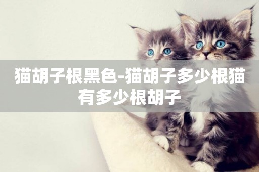 貓胡子根黑色-貓胡子多少根貓有多少根胡子