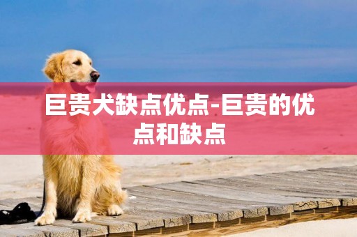 巨貴犬缺點優點-巨貴的優點和缺點