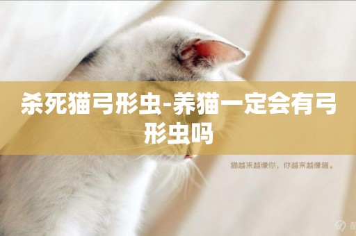 殺死貓弓形蟲-養貓一定會有弓形蟲嗎