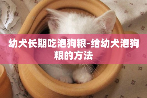 幼犬長期吃泡狗糧-給幼犬泡狗糧的方法