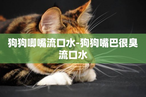 狗狗唧嘴流口水-狗狗嘴巴很臭流口水