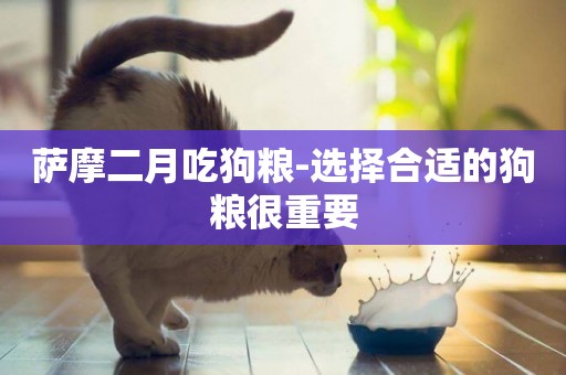 薩摩二月吃狗糧-選擇合適的狗糧很重要