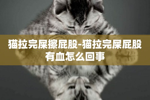 貓拉完屎擦屁股-貓拉完屎屁股有血怎么回事