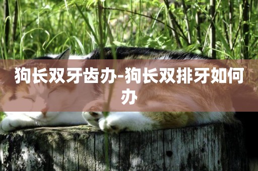 狗長雙牙齒辦-狗長雙排牙如何辦