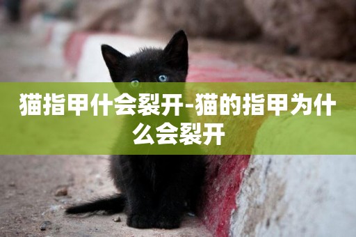 貓指甲什會裂開-貓的指甲為什么會裂開