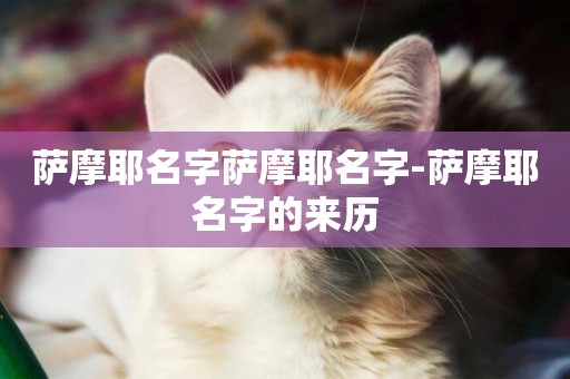 薩摩耶名字薩摩耶名字-薩摩耶名字的來歷