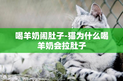 喝羊奶鬧肚子-貓為什么喝羊奶會拉肚子