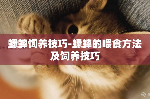 蟋蟀飼養技巧-蟋蟀的喂食方法及飼養技巧