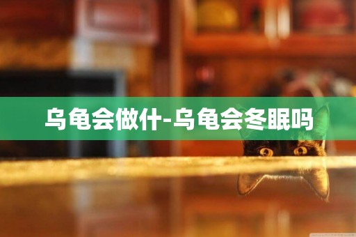 烏龜會做什-烏龜會冬眠嗎
