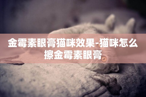 金霉素眼膏貓咪效果-貓咪怎么擦金霉素眼膏