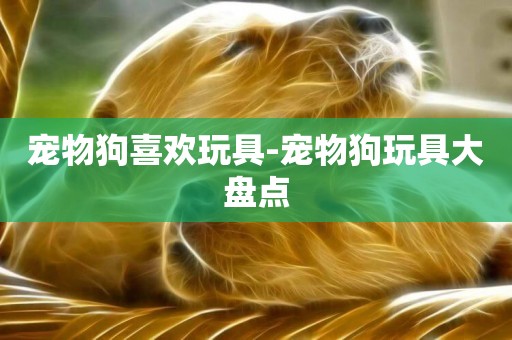 寵物狗喜歡玩具-寵物狗玩具大盤點