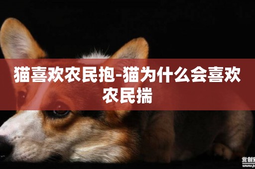 貓喜歡農民抱-貓為什么會喜歡農民揣