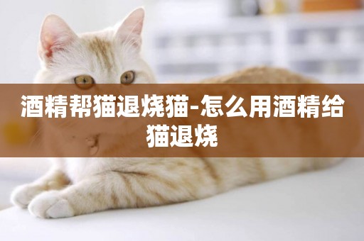 酒精幫貓退燒貓-怎么用酒精給貓退燒