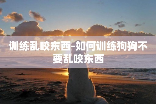訓練亂咬東西-如何訓練狗狗不要亂咬東西