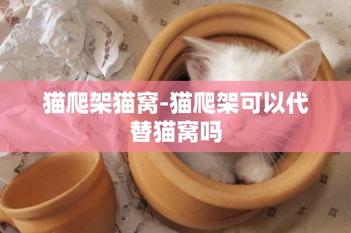 貓爬架貓窩-貓爬架可以代替貓窩嗎