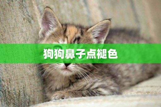 狗狗鼻子點褪色