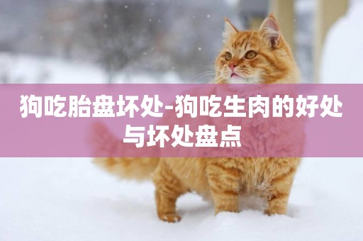 狗吃胎盤壞處-狗吃生肉的好處與壞處盤點
