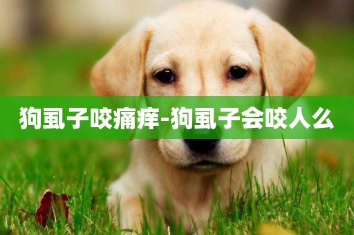 狗虱子咬痛癢-狗虱子會咬人么