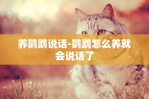 養鸚鵡說話-鸚鵡怎么養就會說話了