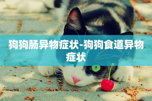 狗狗腸異物癥狀-狗狗食道異物癥狀